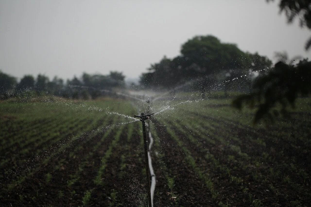 Monochrome or moody view of agricultural sprinklers watering crop residential systems in Maple Ridge