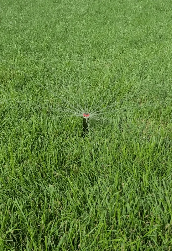 Pop-up sprinkler spraying water evenly across a lush green lawn across Maple Ridge