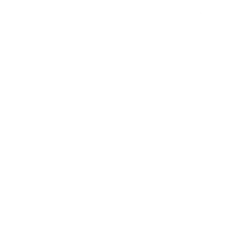 Sketch icon