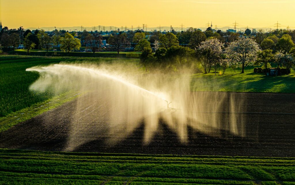 Spring Irrigation in Ottawa & Ontario Homes guide