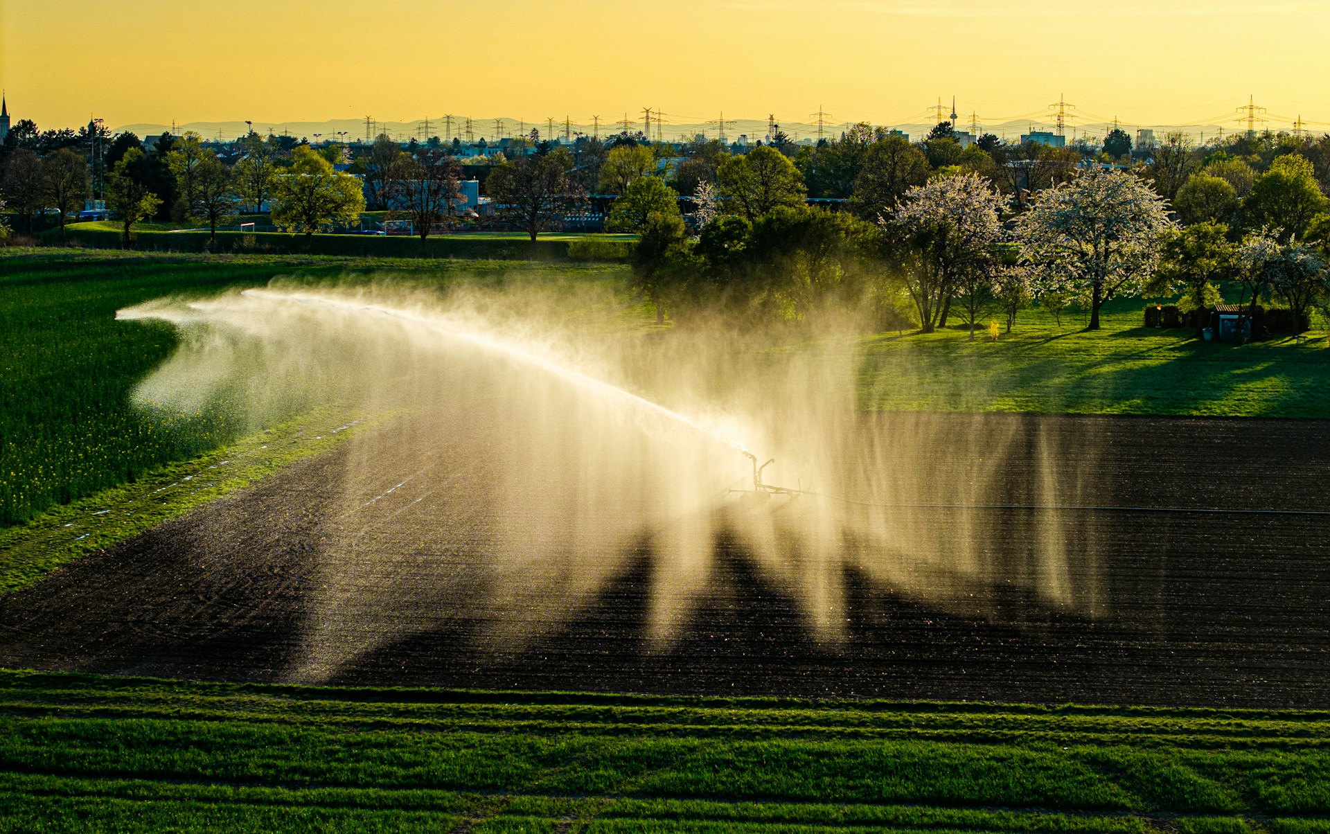 Spring Irrigation in Ottawa & Ontario Homes guide