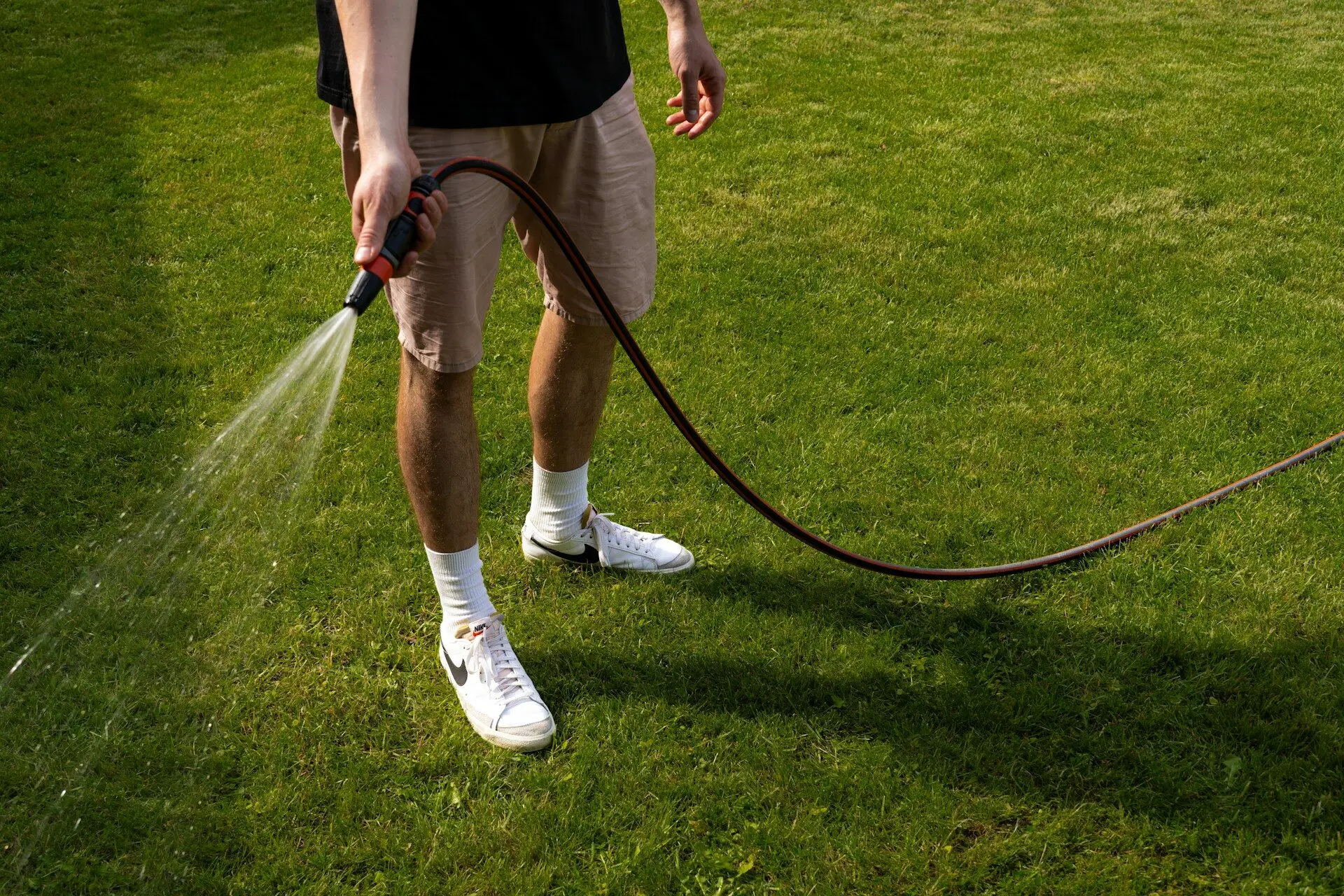 watering hose and spraying water onto a green lawn outdoors