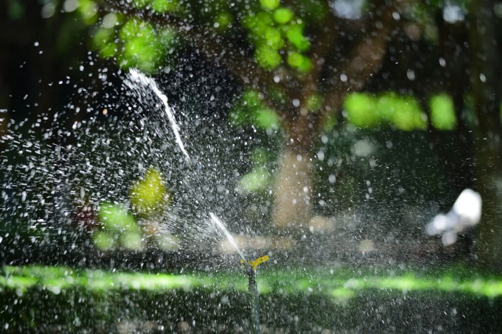 Sprinkler system watering a residential garden, highlighting the comparison between drip irrigation and sprinkler systems for efficient landscape watering