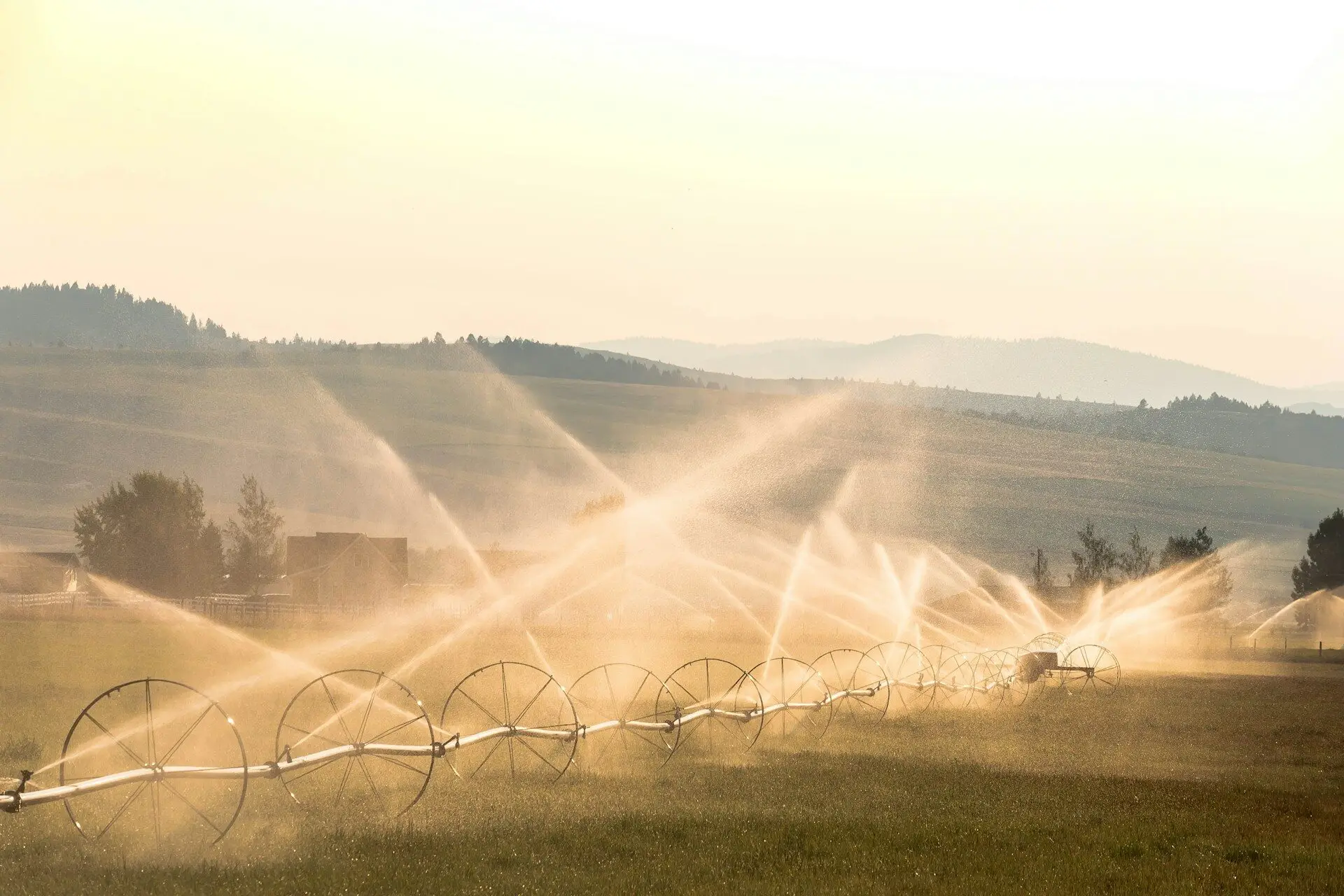 Wheel line irrigation system operating across a rural farm field across Maple Ridge
