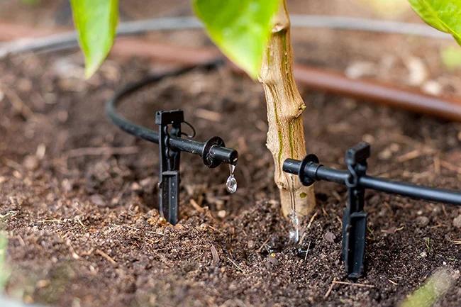 Drip Irrigation for Port Moody Gardens